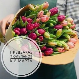 Заказы на букеты из тюльпанов