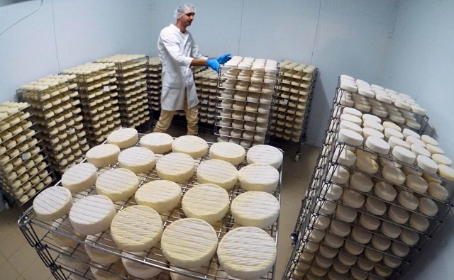 Власти запретят называть сделанный не по ГОСТу сыр «российским»