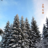 Природа района Природа района