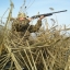 Весенняя охота на пернатых в Александровском районе будет разрешена с 6-го по 15 мая