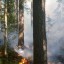 Прикамье накрыл дым от сибирских лесных пожаров