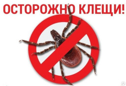 Уже проснулись и кусаются