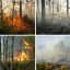 Два дня тушили лесной пожар, возникший на прошлой неделе на выезде из посёлка Всеволодо-Вильва