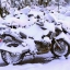 В России могут запретить зимнюю езду на мотоциклах