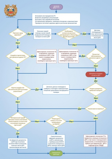 Новый порядок оформления ДТП