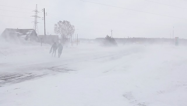 В Прикамье ожидается порывистый ветер и сильный снегопад