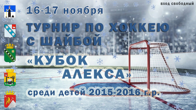Турнир по хоккею с шайбой
