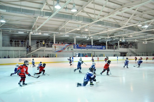 Турнир по хоккею "Юные надежды Прикамья" среди детей 2010-2011 г