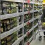 В России могут запретить продажу алкоголя в выходные дни