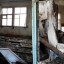 Жителей аварийного дома в Александровске уже два года не могут расселить