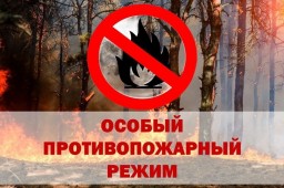 C 27 мая по 10 июня вводится особый противопожарный режим