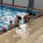 Яйвинский плавательный бассейн «Волна» участвует в проекте «Умею плавать!»