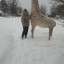Жительница Всеволодо-Вильвы слепила из снега высокого жирафа