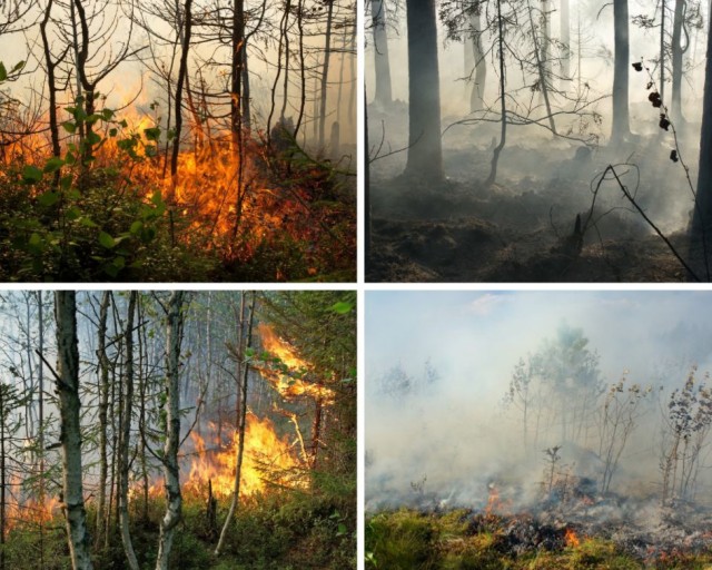 Два дня тушили лесной пожар, возникший на прошлой неделе на выезде из посёлка Всеволодо-Вильва