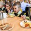 С 1 сентября учеников начальной школы обеспечат бесплатными горячими обедами