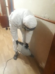 Уничтожение насекомых Уничтожение насекомых
