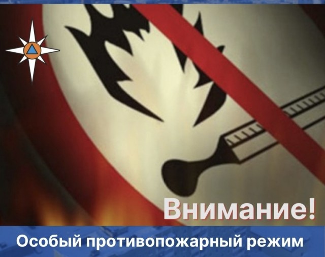 На территории Пермского края введен особый противопожарный режим