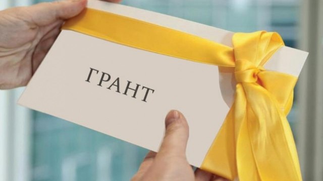 Яйвинское некоммерческое объединение выиграло грант в размере 299 тысяч рублей