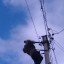 «Коммунальные электросети» точечно восстановили уличное освещение во Всеволодо-Вильве