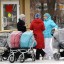 В России могут разрешить инвестировать маткапитал в ценные бумаги