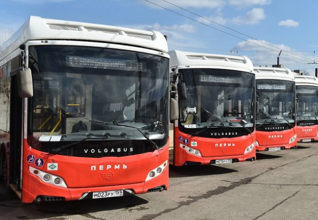 Въезжающие в Пермский край пассажирские автобусы проверяют на специализированных постах