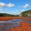 Создан ресурс для определения загрязненных участков Кизеловского угольного бассейна