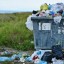 Пермское УФАС выявило сговор на торгах по вывозу мусора