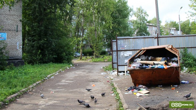 Власти Прикамья освободят «домашних» ИП от платы за вывоз мусора